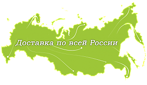 dostavka po rossii