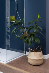 dushevaya_dver_aquanet_cinetic_ae12_n_120h190u_ct_1200_prozrachnoe_steklo_8