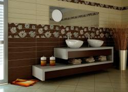 rakovina-roca-bol-d42-327876000(3)