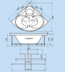 sabina-cherchezh-580h642_0